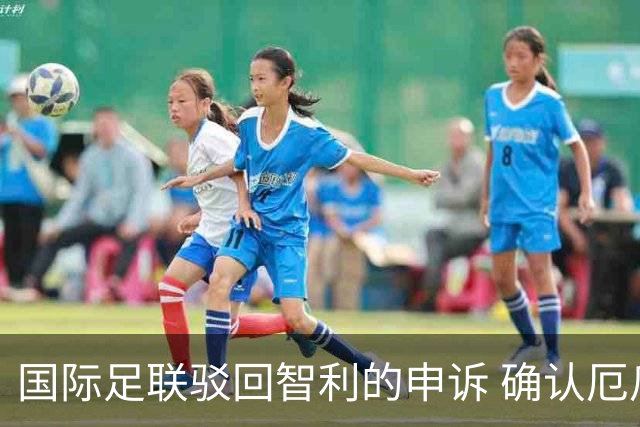 国际足联驳回智利的申诉 确认厄瓜多尔参加世界杯
